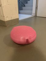 Balance Kissen/Trainer Igel Physio