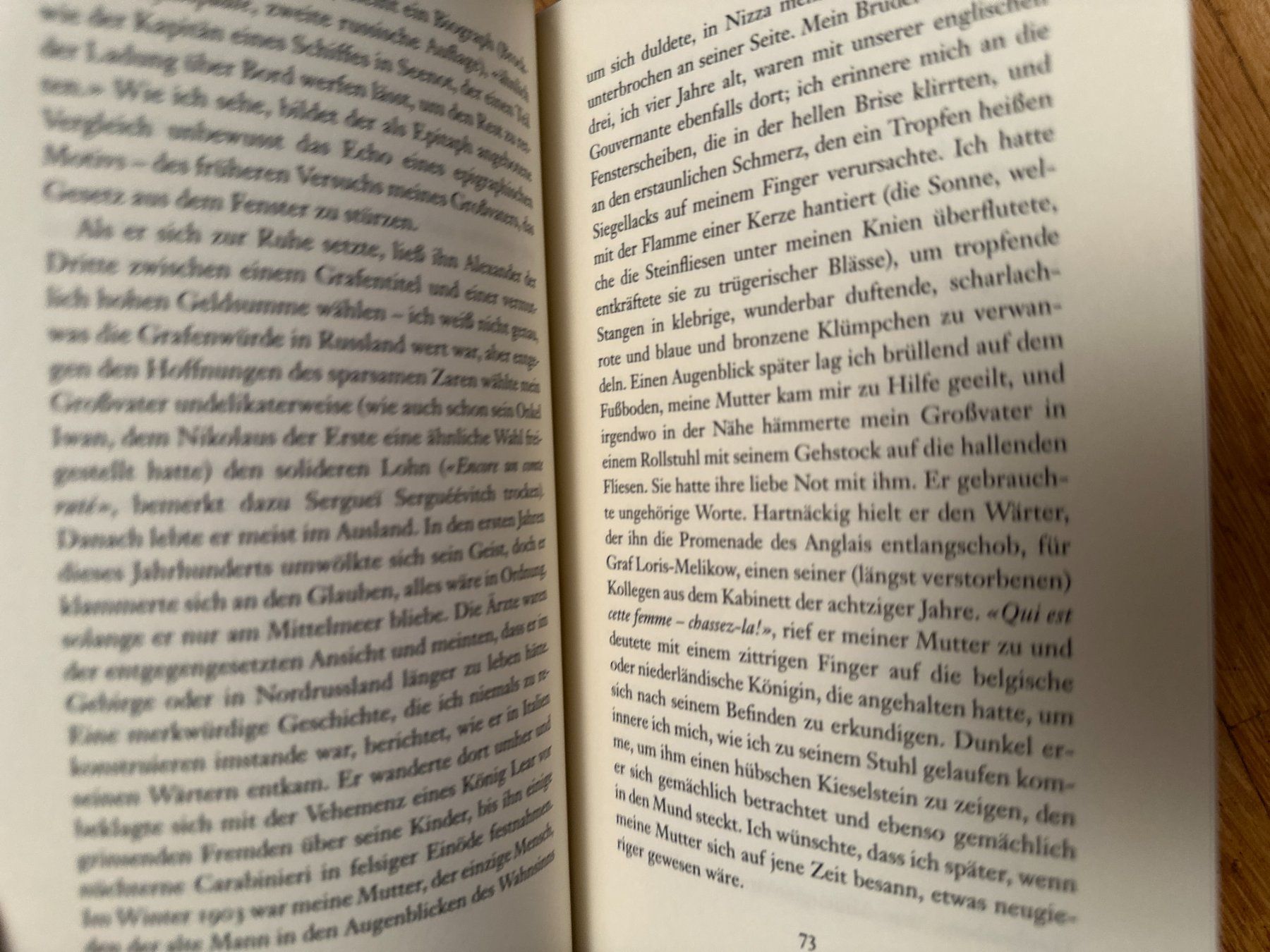 Libri: Vladimir Nabokov: Erinnerung, sprich – Usato da Zürich venduto da allp 5