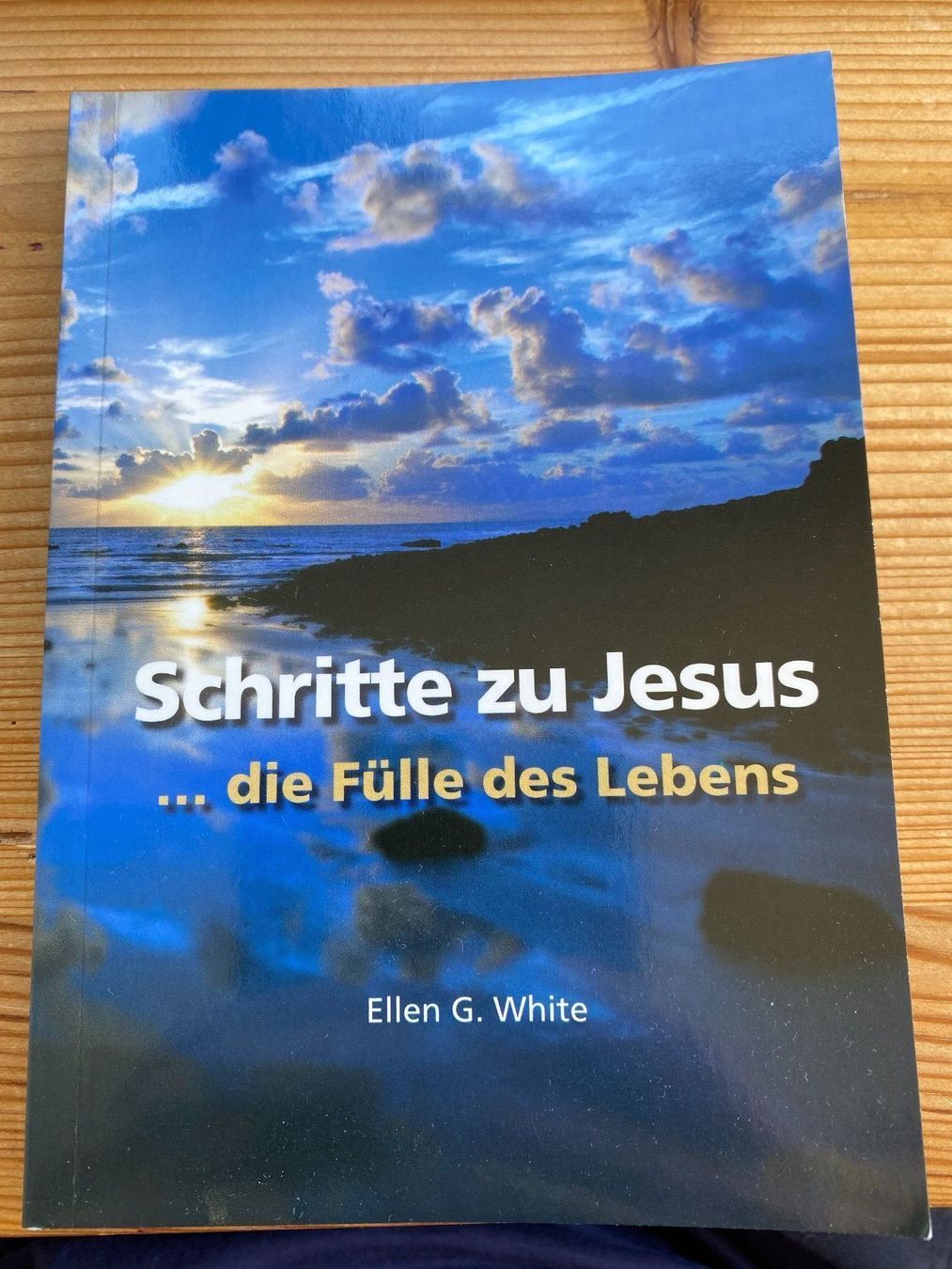 Bücher: Buch - Schritte zu Jesus – Gebraucht aus St.Gallen von kingsamas