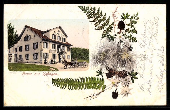 Cartoline postali: Passepartout-AK Zofingen, Römerbad, Edelweiss – Usato da Berlin venduto da bartko-reher