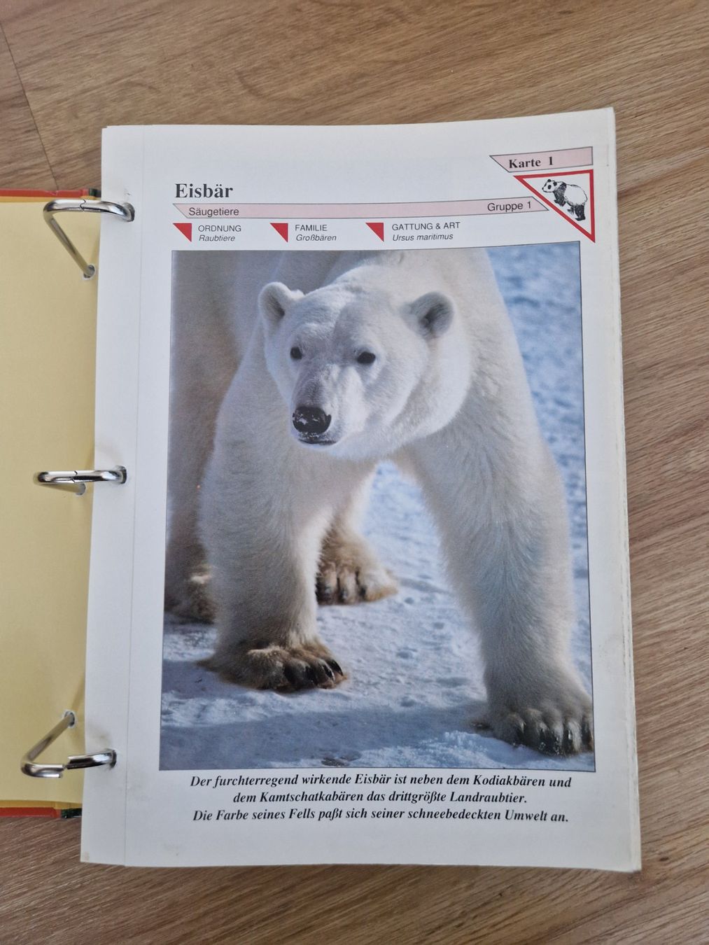 Libri: Faszination Tier & Natur – Usato da Lotzwil venduto da DonGavallo 5
