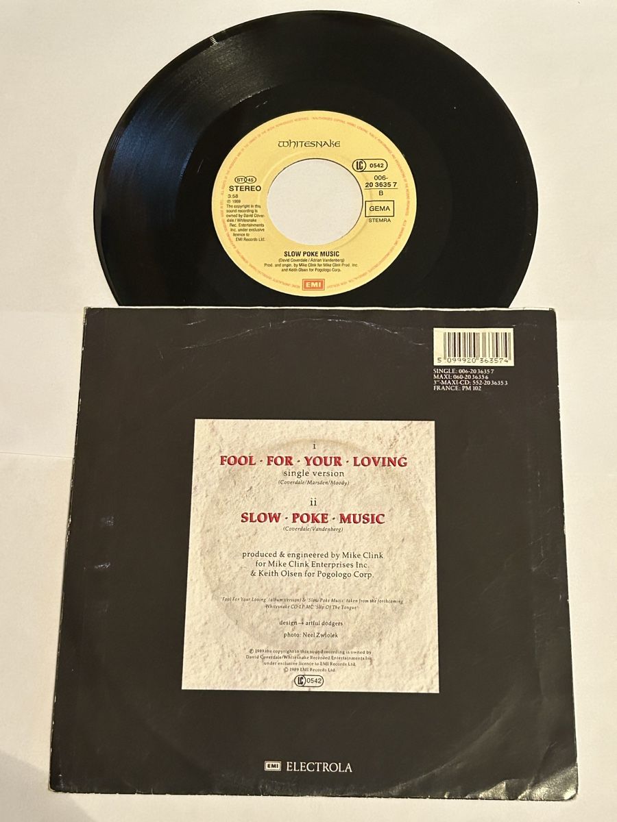 Dischi in vinile: WHITESNAKE. 1989. Fool • For • Your • Loving – Usato da Faulensee venduto da Mizuno06 1