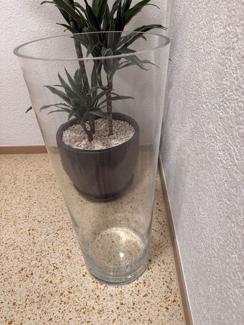 Vasi & Recipienti: Gross Deko Glass Vase – Usato da Wettingen venduto da bar7 1