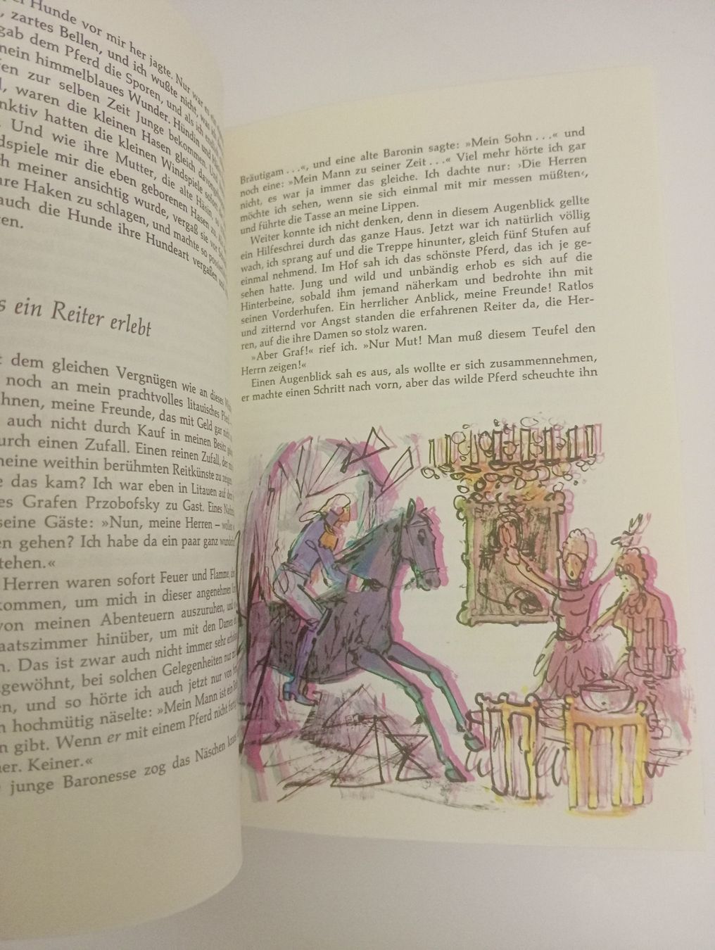Libri: Münchhausen Buch – Usato da Allschwil venduto da Evgeniia78 2