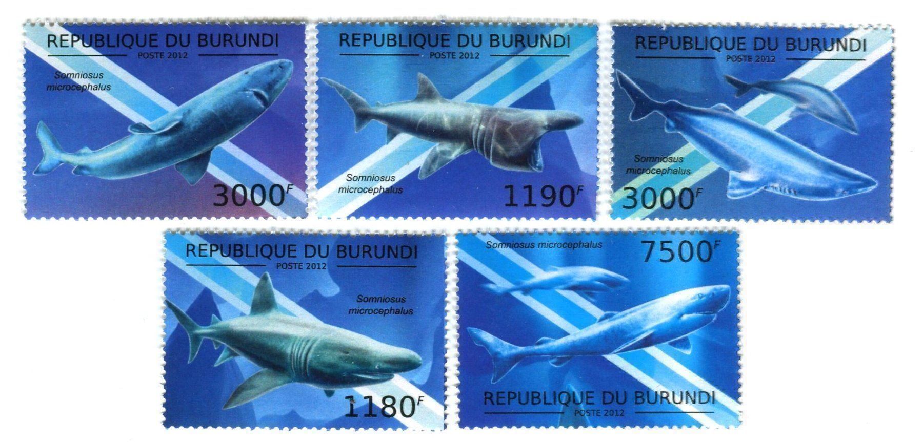 Tutti i francobolli: Briefmarken "Haie". Burundi. – Nuovo e nell'imballaggio originale da Basel venduto da Butsch5