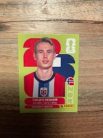 Panini FIFA 2026 NOR 8