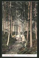 Lützelau bei Weggis, Waldpartie bei Hotel, gelaufen 1914