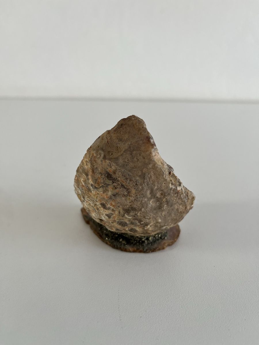 Sculture & Statue: Skulptur / Geode mit Delfin – Usato da Wetzikon ZH venduto da seli03 3