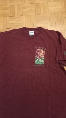 In The Woods 1995 Vintage T-shirt in XL *Black Metal *