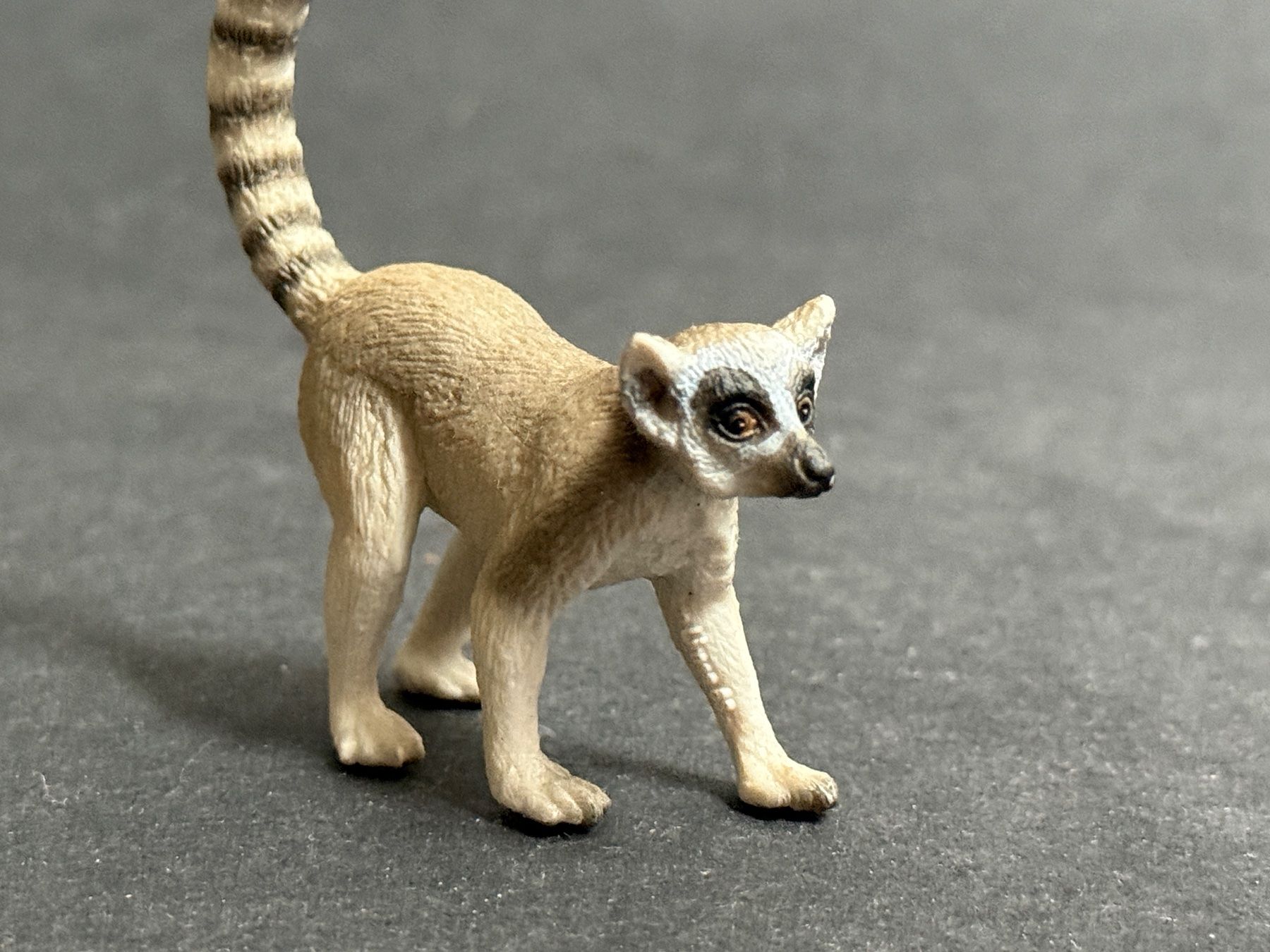 Schleich Statuette: Neu* Schleich Katta Lemur – Nuovo (secondo la descrizione) da Ennetbaden venduto da mapa05 3