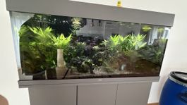 Juwel Rio 180l