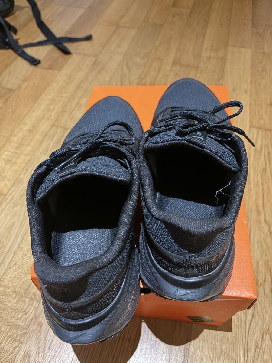 Nike Scarpe da uomo: Nike Air Zoom Pegasus 41 GTX – Usato da Luzern venduto da alf_289m 4
