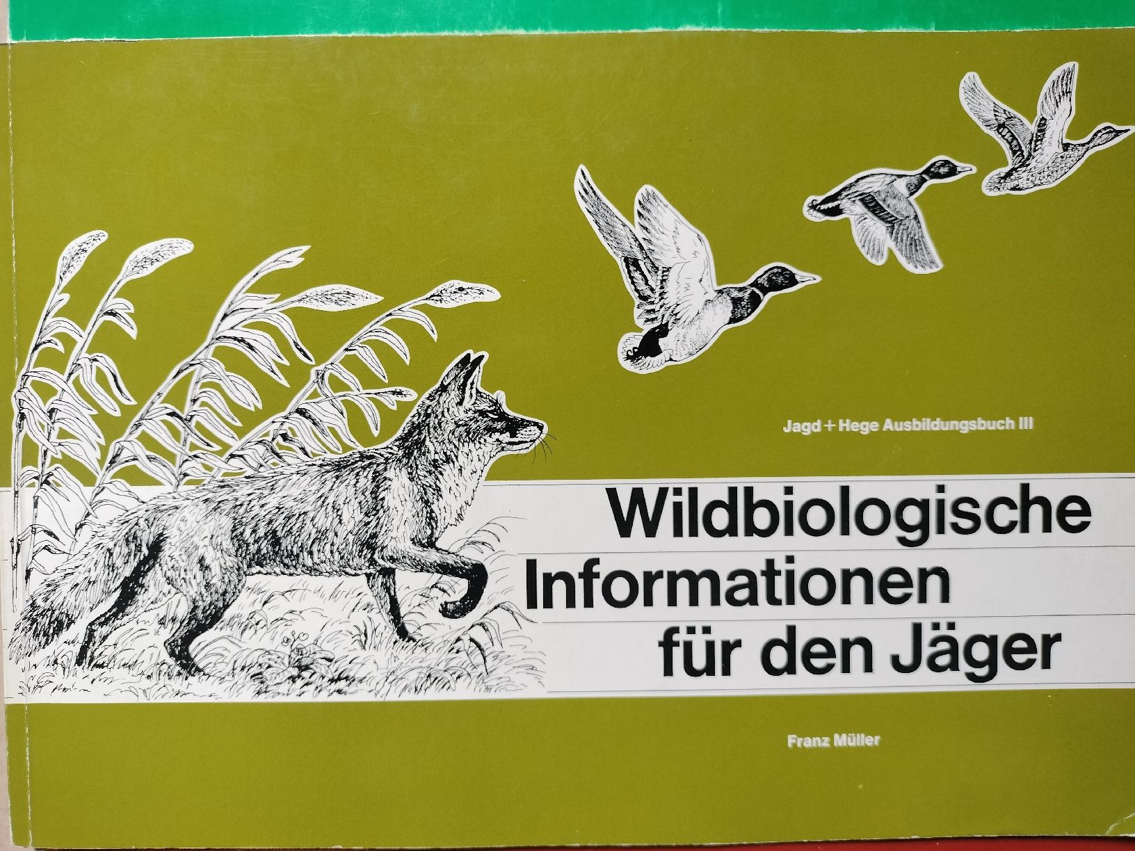 Libri: Jagd Bücher von 1978-1984 – Usato da Schwanden Sigrisw venduto da cadieux71 3