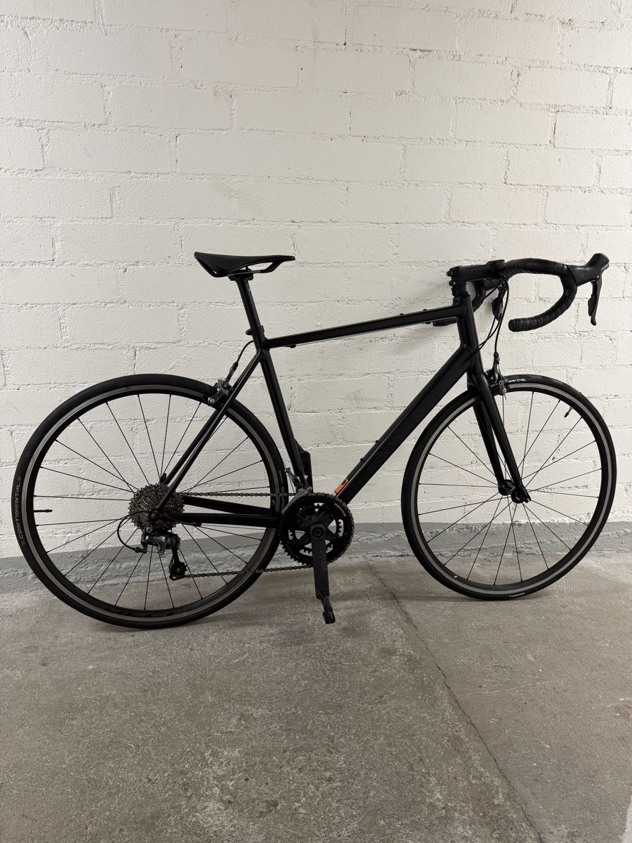 Canyon Biciclette: Rennrad Canyon Endurace AL 7.0 – Usato da Bern venduto da ice_9k97