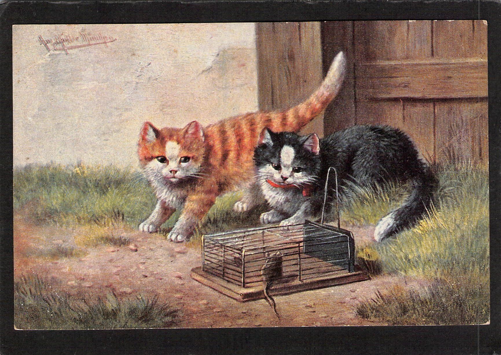 Ansichtskarten: AK Katzen : Katzen vor der Mausefalle – Gebraucht aus Reichenburg von Pipo-67