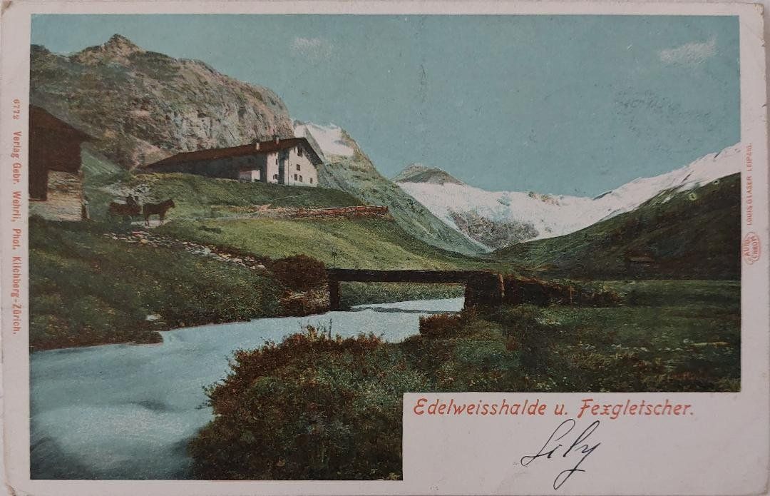 Cartoline postali: EDELWEISSHALDE  u. FESSGLETSCHER  - 1903 – Usato da Delémont venduto da Domdom1