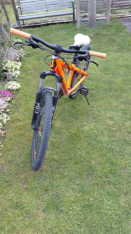 Biciclette: Scott Kindervelo – Usato da Thun venduto da Lexu4444 4