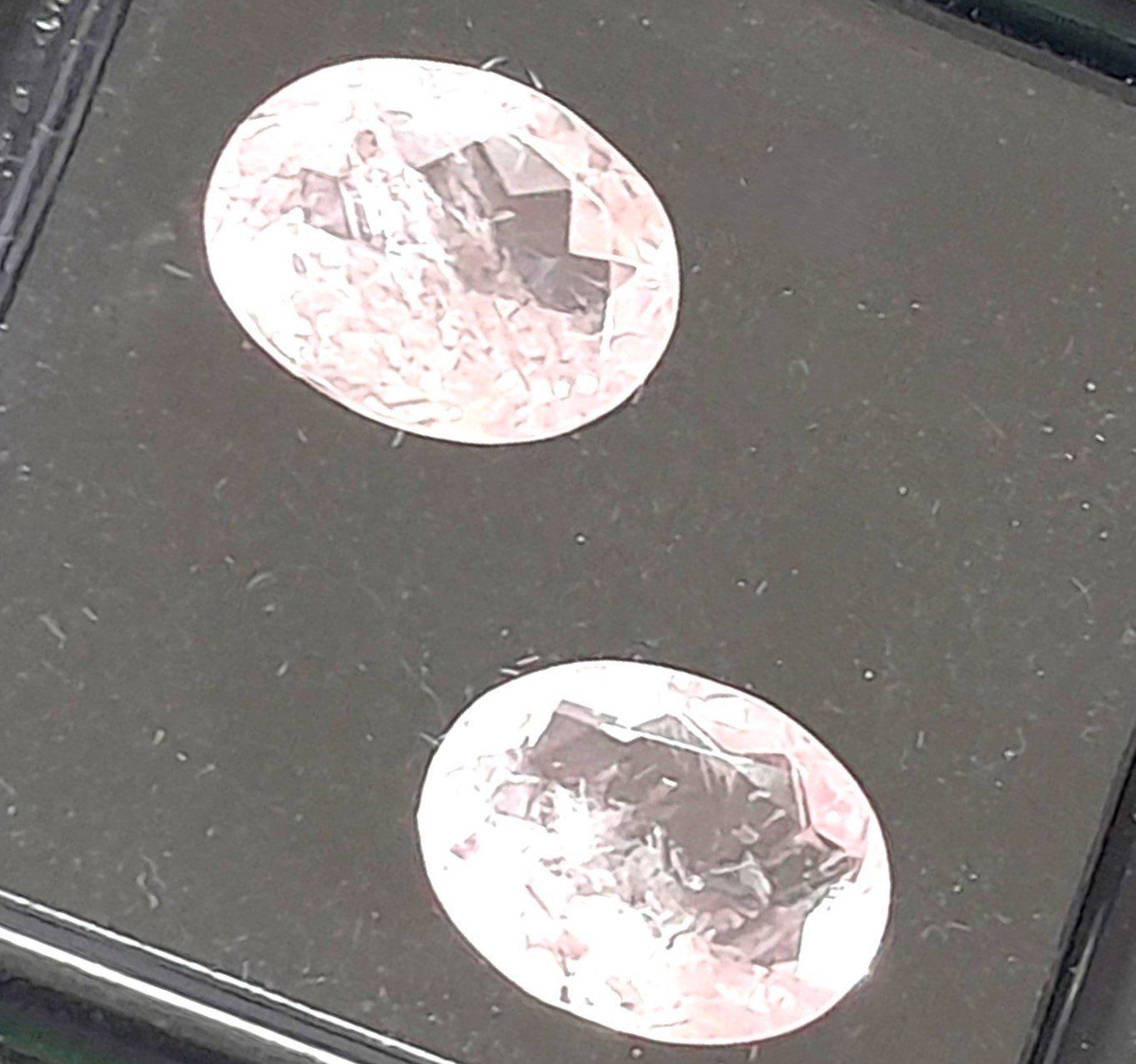 Pietre preziose: 2x Morganites 8x6 mm - Valeur 60.- Fr – Nuovo (secondo la descrizione) da Grimisuat venduto da Valgem 1