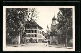 Zofingen, Strassenpartie mit Steinlöwen