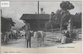Dorfpartie in Erlenbach - belebt animee 1907