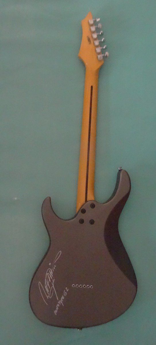 Strumenti musicali: E-Gitare Cort Garage Prototyp 2 – Nuovo (secondo la descrizione) da PRILLY venduto da hurricane2000 2