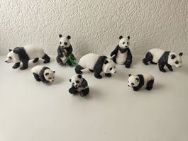 Schleich Panda Familie Pandabär Wild Life Zoo