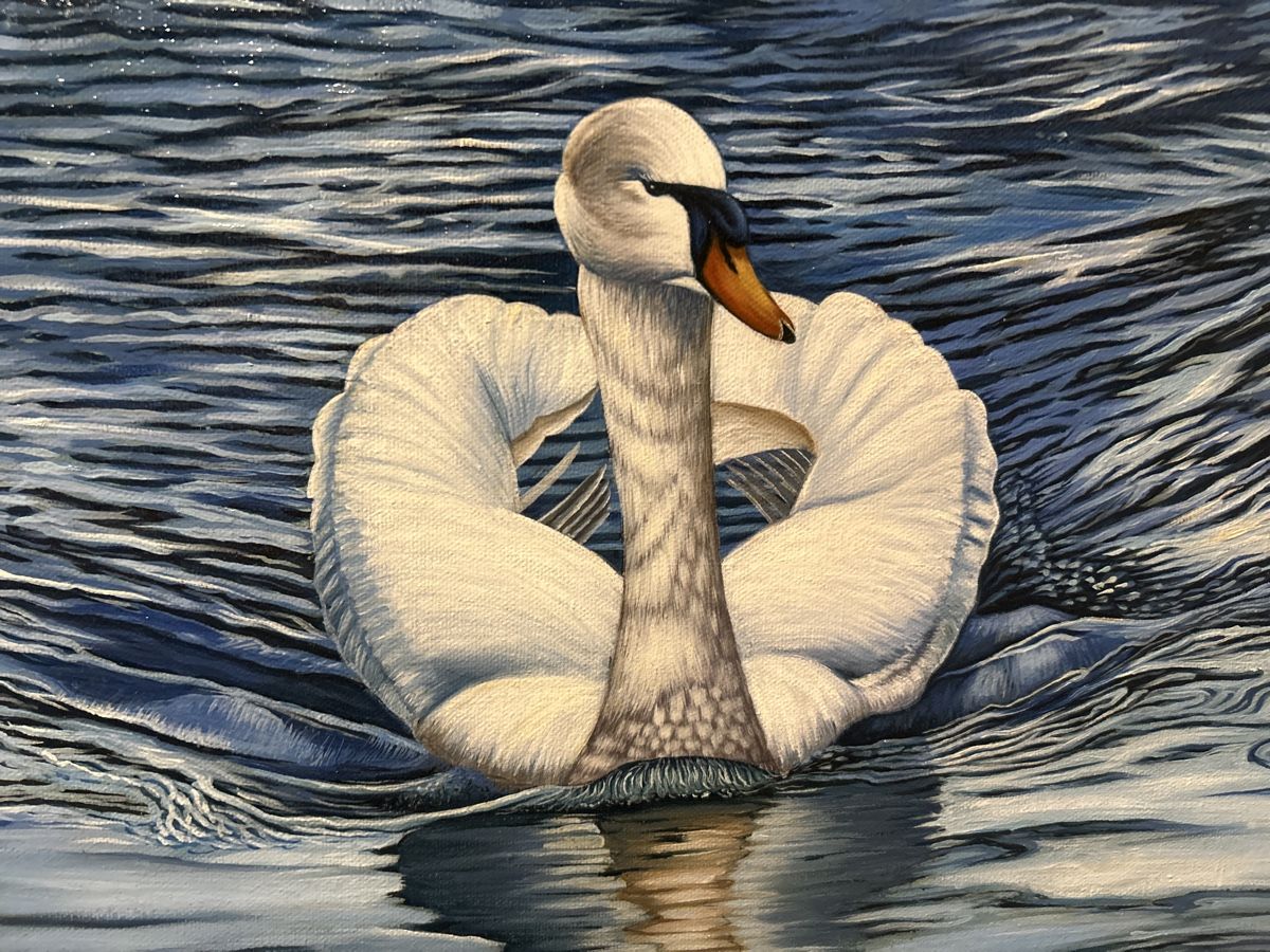 Dipinti: Gemälde "Schwan" signiert- Einzigartig & Handgemalt! – Usato da Glarus venduto da KunstWerkEr-LS87 5