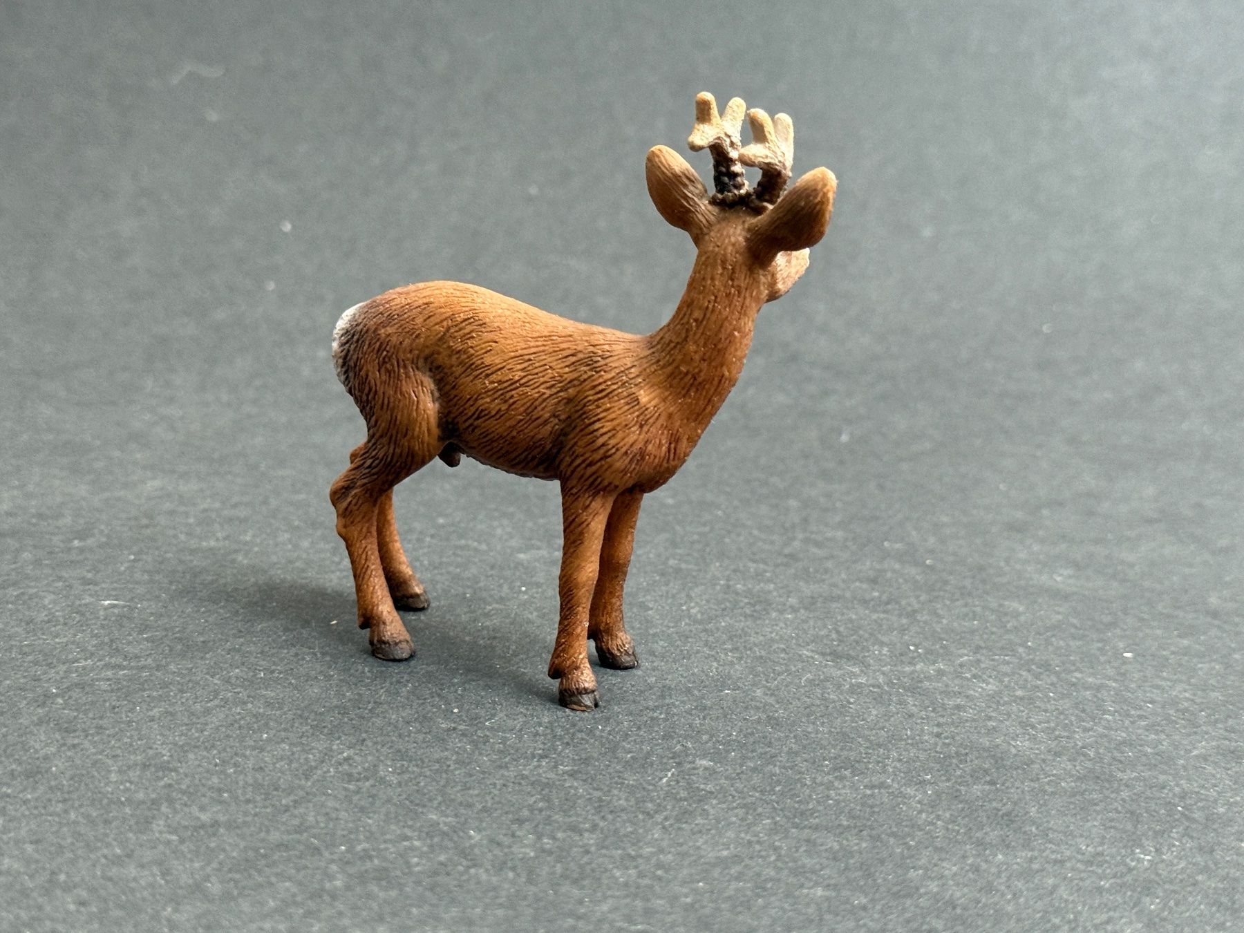 Schleich Statuette: Schleich Rehbock, Reh, Rehkitz Kitz Wald – Usato da Ennetbaden venduto da mapa05 3
