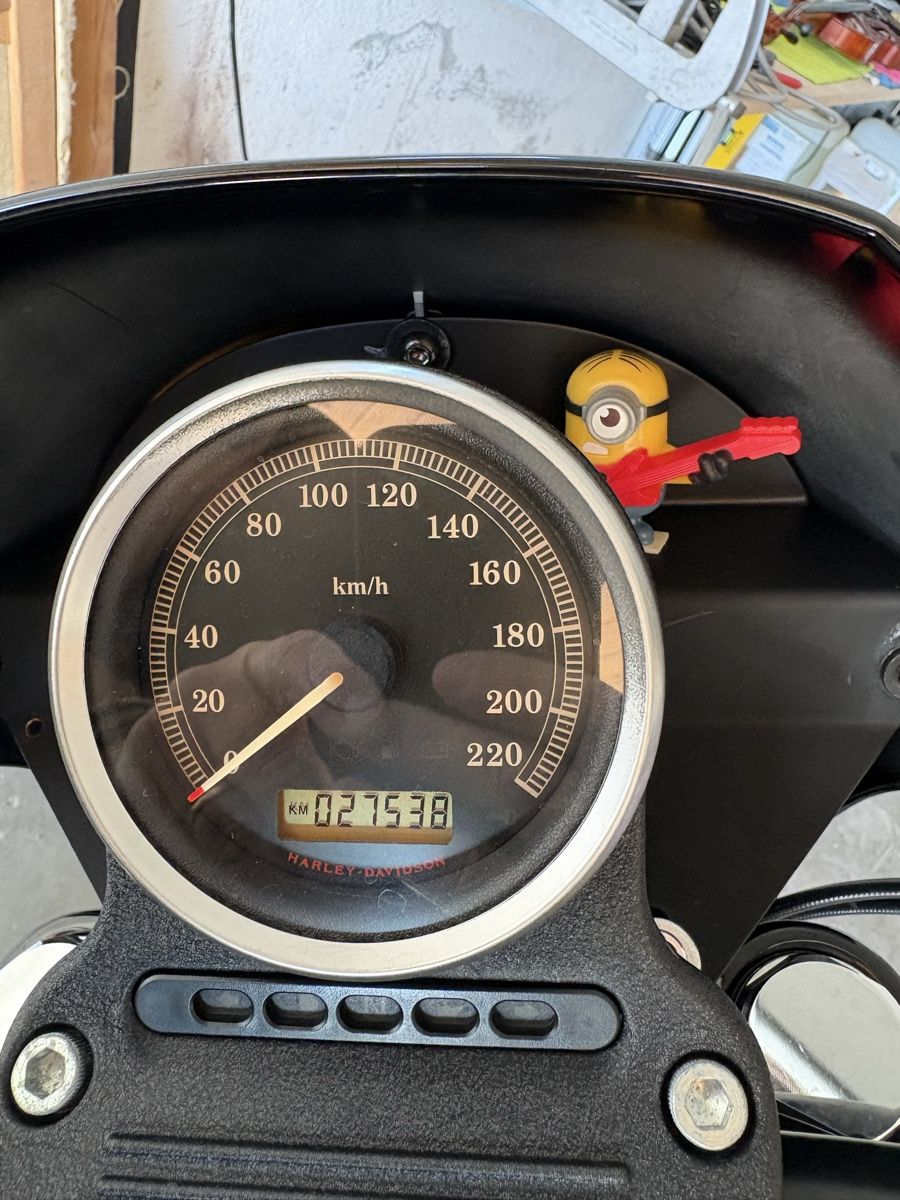 Harley-Davidson Cruisers: Harley Davidson XL883R – D'occasion à Cormondrèche par Mr.Douny 8