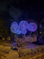 PUSTEBLUME AUS EDELSTAHL  KUNST, DIE NIEMALS VERBLÜHT