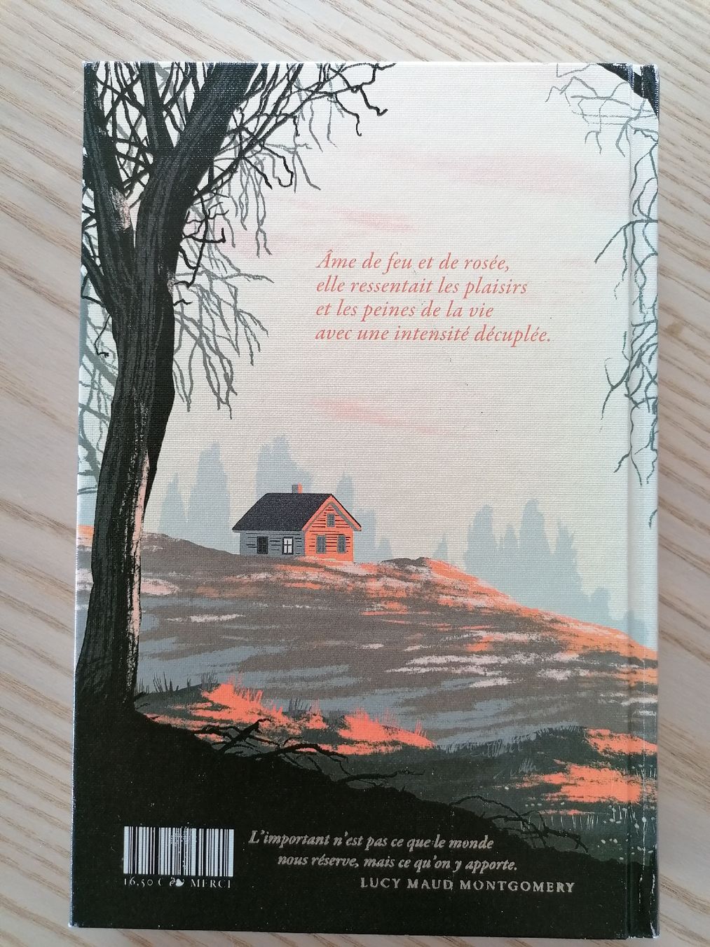 Libri: Anne de Green Gables – Nuovo (secondo la descrizione) da Bretigny-Morrens venduto da solveiga 1