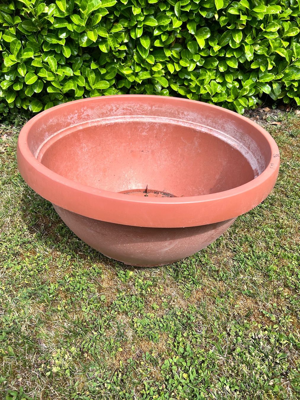 Vasi per fiori: Grosse Pflanzschale  Ø 85cm H 44cm. – Usato da Flaach venduto da Monisoldshop 1