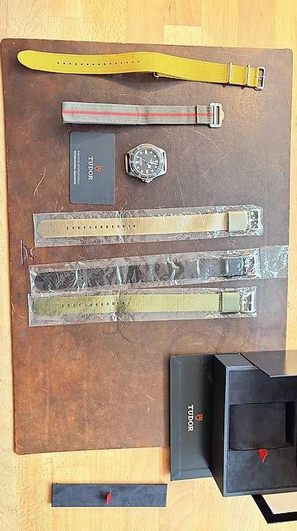 Orologi: Tudor Pelagos FXD – Usato da Basel venduto da Bandura1727 4