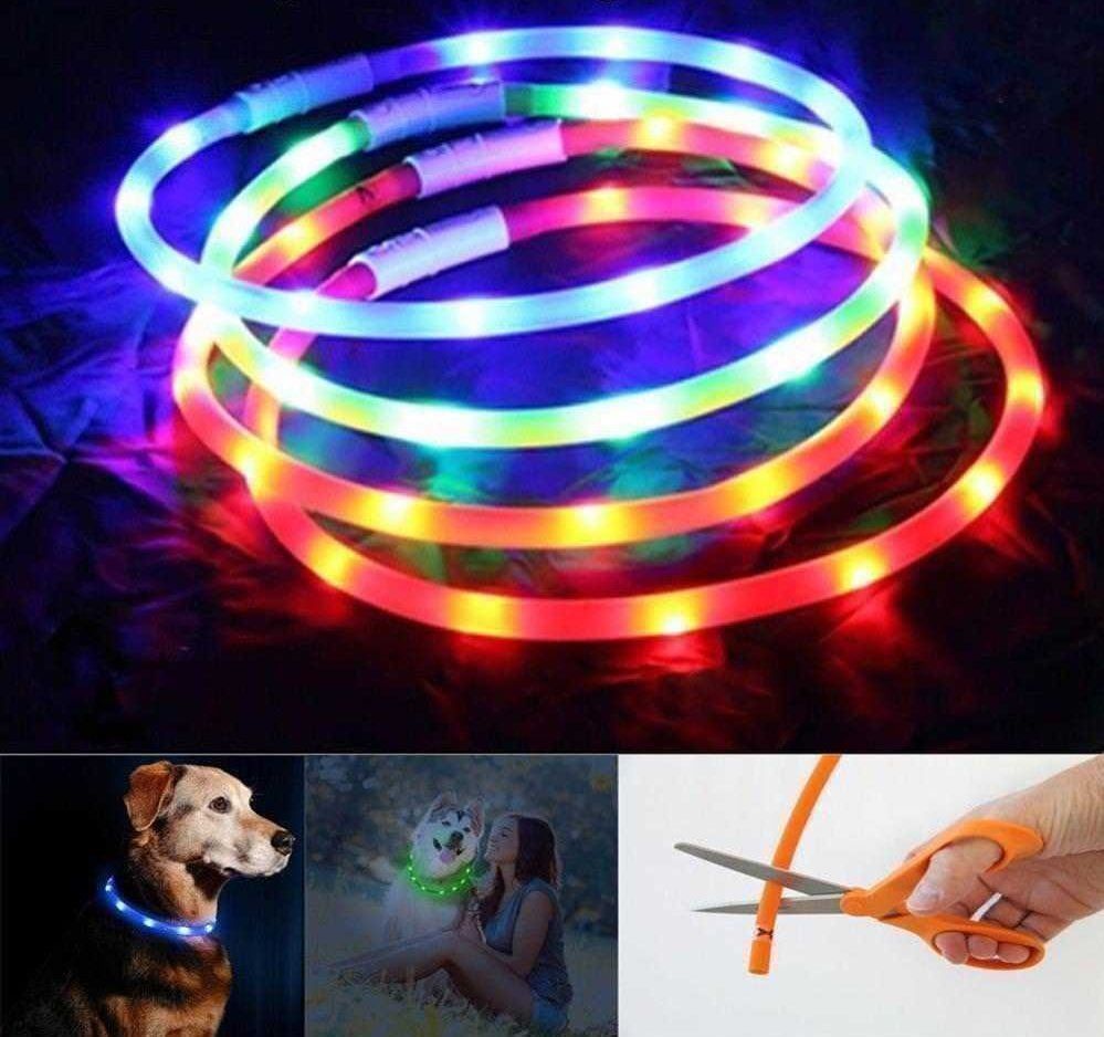 Guinzagli & Collari: NEU - LED Leucht - Halsband USB Blau – Nuovo e nell'imballaggio originale da St. Margarethen TG venduto da ursk10 1