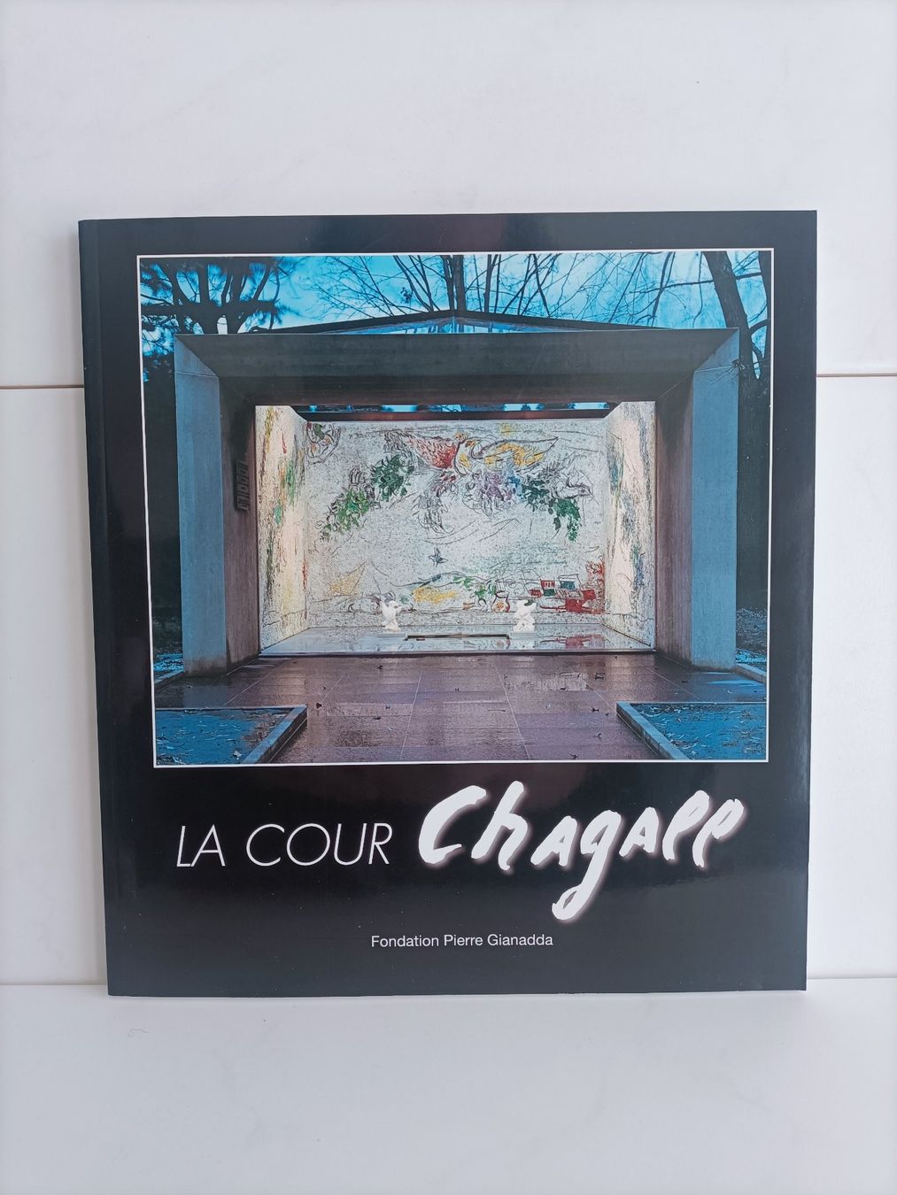Bücher: La cour Chagall / Daniel Marchesseau / Gianadda – Gebraucht aus crans montana von AB3963