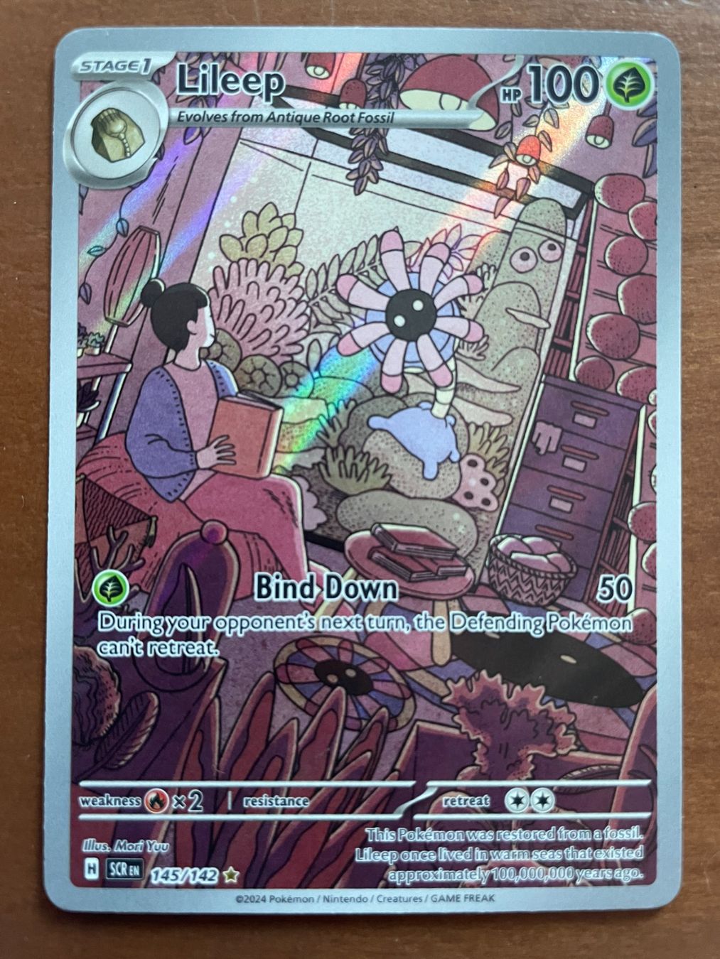 Pokémon Carte collezionabili: Pokemon Lileep (Versand gratis) – Nuovo (secondo la descrizione) da Chur venduto da Angerson