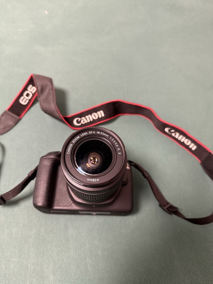Canon Fotocamera: Canon EOS 2000D – Nuovo (secondo la descrizione) da Winterthur venduto da lin_5f3h 3