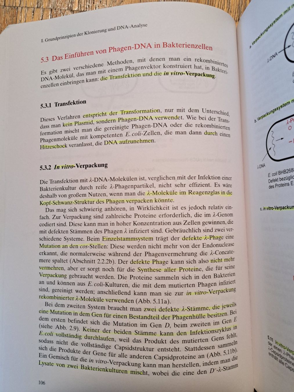 Bücher: Gentechnologie für Einsteiger – Gebraucht aus Thalwil von Pescara13 2