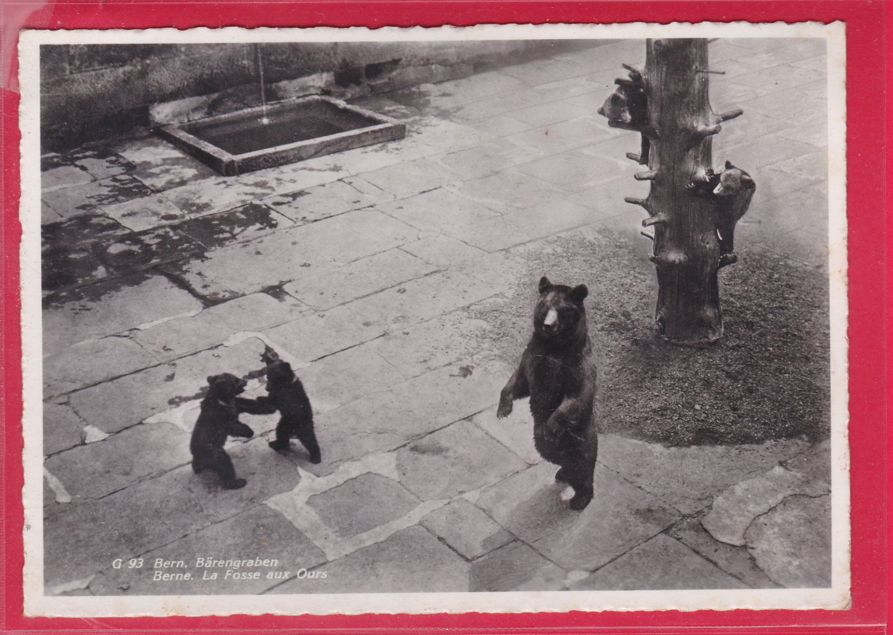Cartoline postali: BERN, BÄRENGRABEN, 27.6.1940 – Usato da Oberrieden venduto da Gebirgsstelze