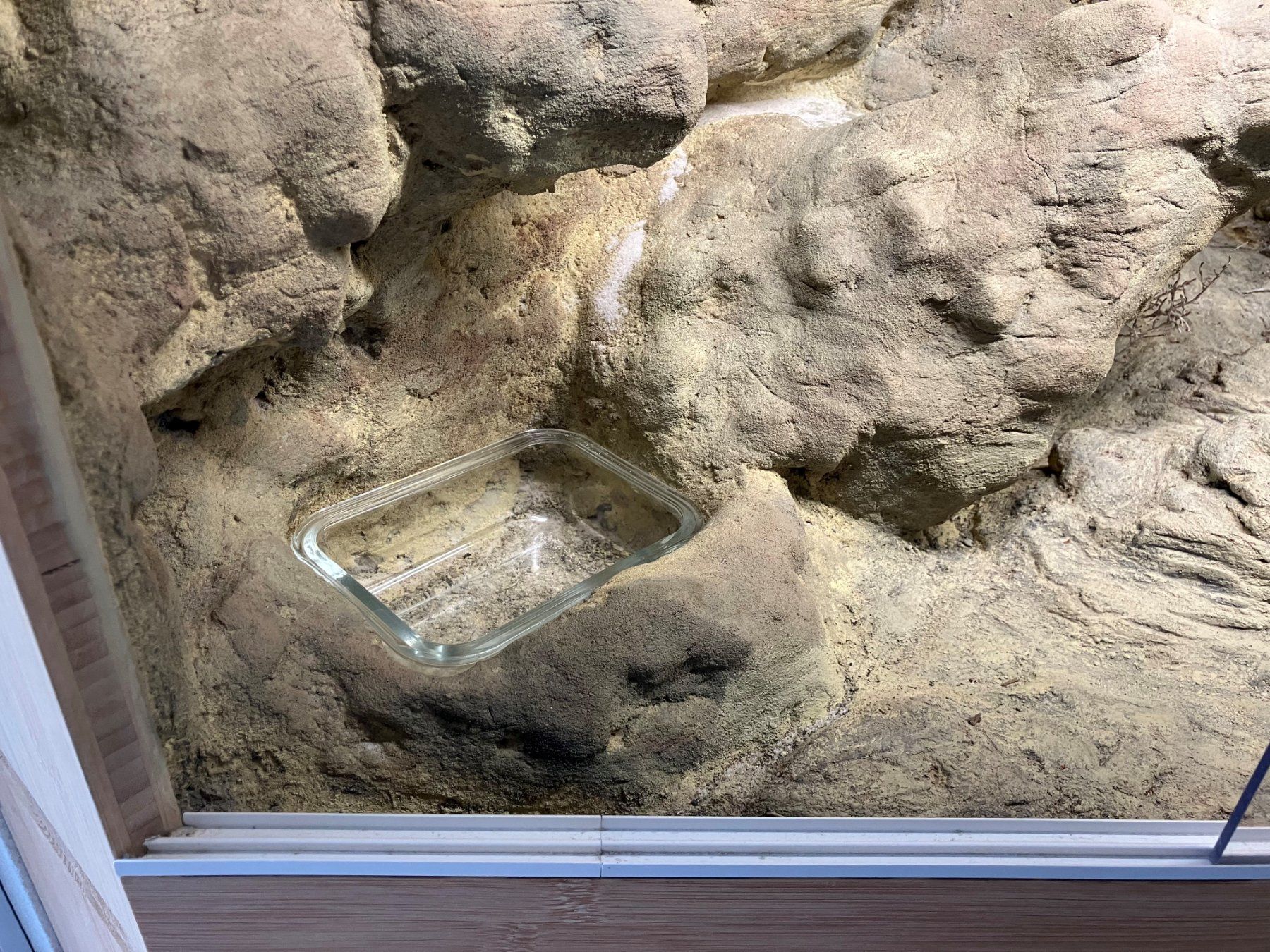 Terrario: Terrarium d'angle à vendre – Usato da Vuarmarens venduto da Vanar 1