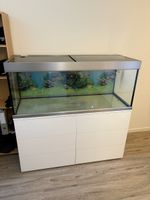 Aquarium Eheim Proxima 325 mit Zubehör