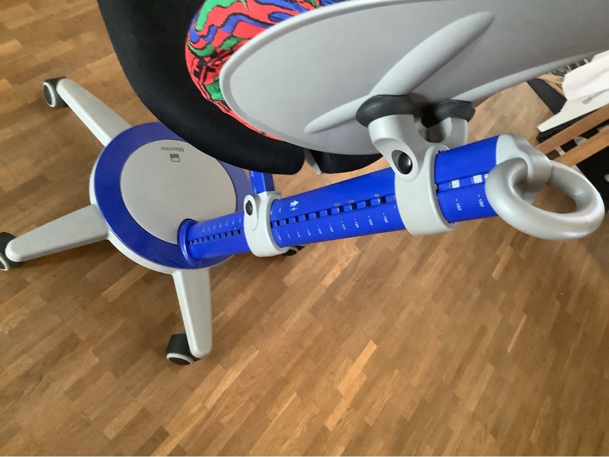 Moll Sedie: Moll Maximo – Usato da Oberentfelden venduto da D2bch 2