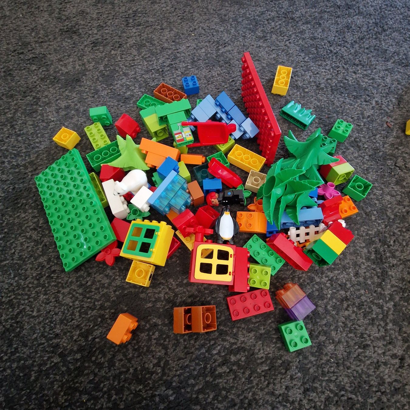 Lego Giocattoli: Duplo, Bausteine, Platten, Tiere – Usato da Gränichen venduto da sunchi07