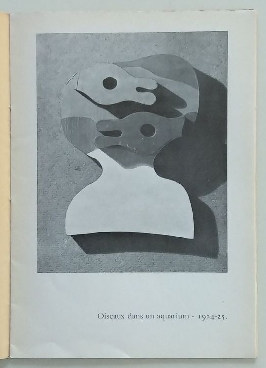 JEAN ARP von Gabrielle Buffet-Picabia | Acheter sur Ricardo