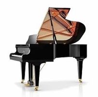 Schimmel — C 189 schwarz poliert