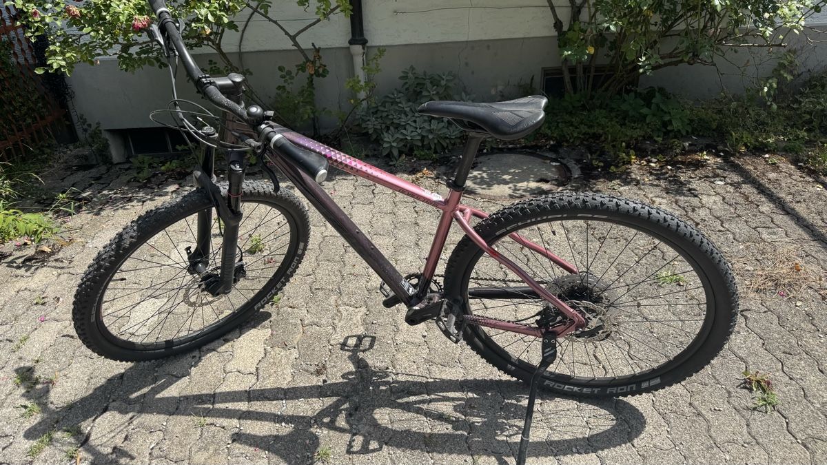 Stevens Velos: Mountainbike Stevens 29" – Gebraucht aus Winterthur von ellemi