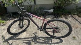 Mountainbike Stevens 29"