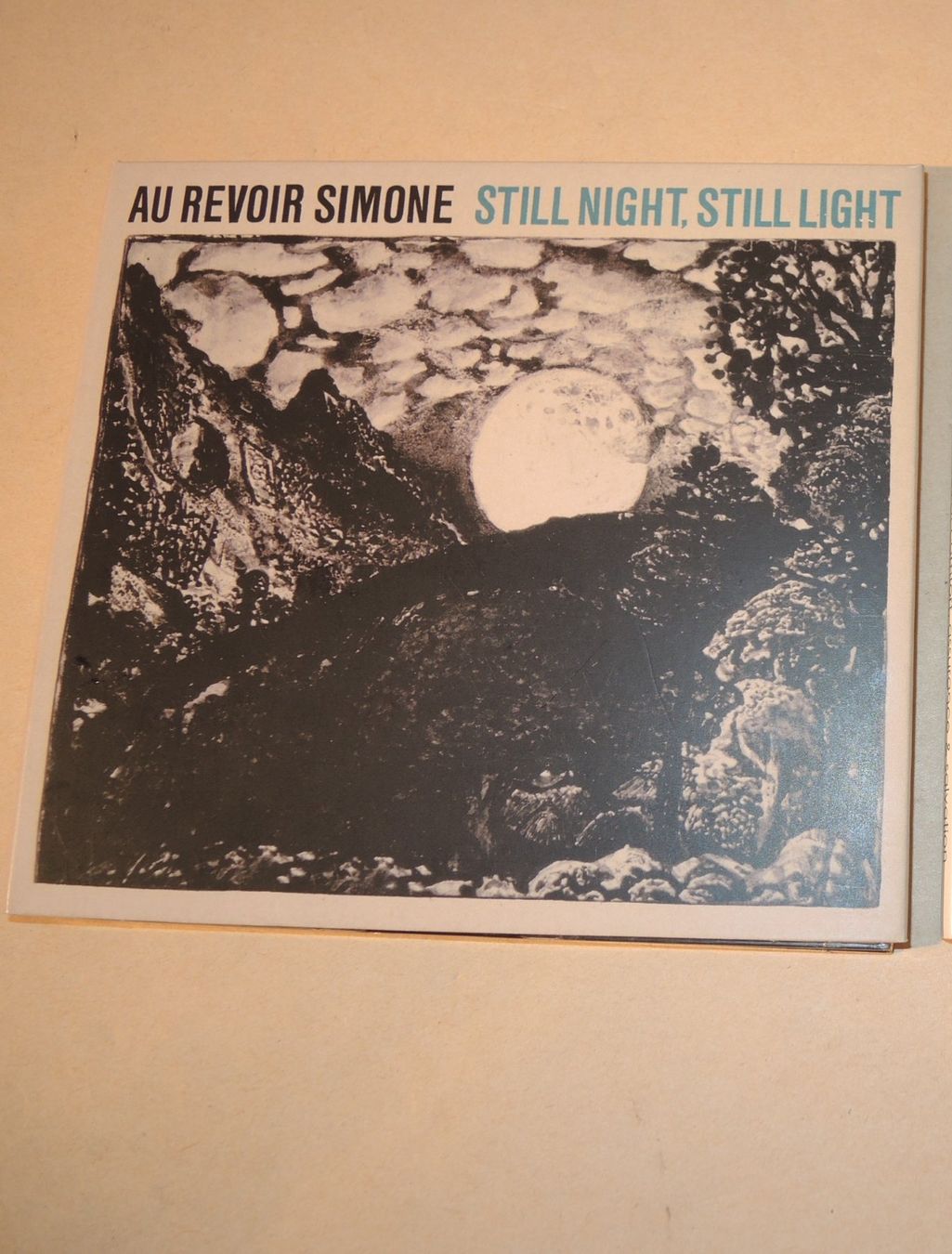 CDs: CD Au Revoir Simone CD Still Night, Still Light – Gebraucht aus Rorschach von maeck8