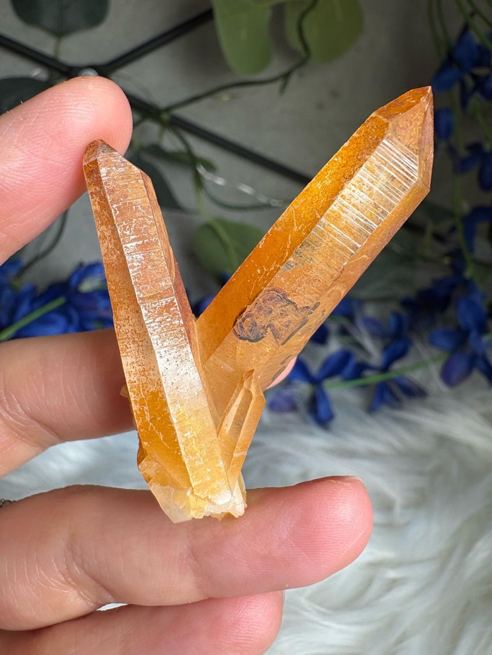 Minerali & Pietre curative: Tangerine Quarz-Cluster – Nuovo (secondo la descrizione) da Neuheim venduto da m.hald 1