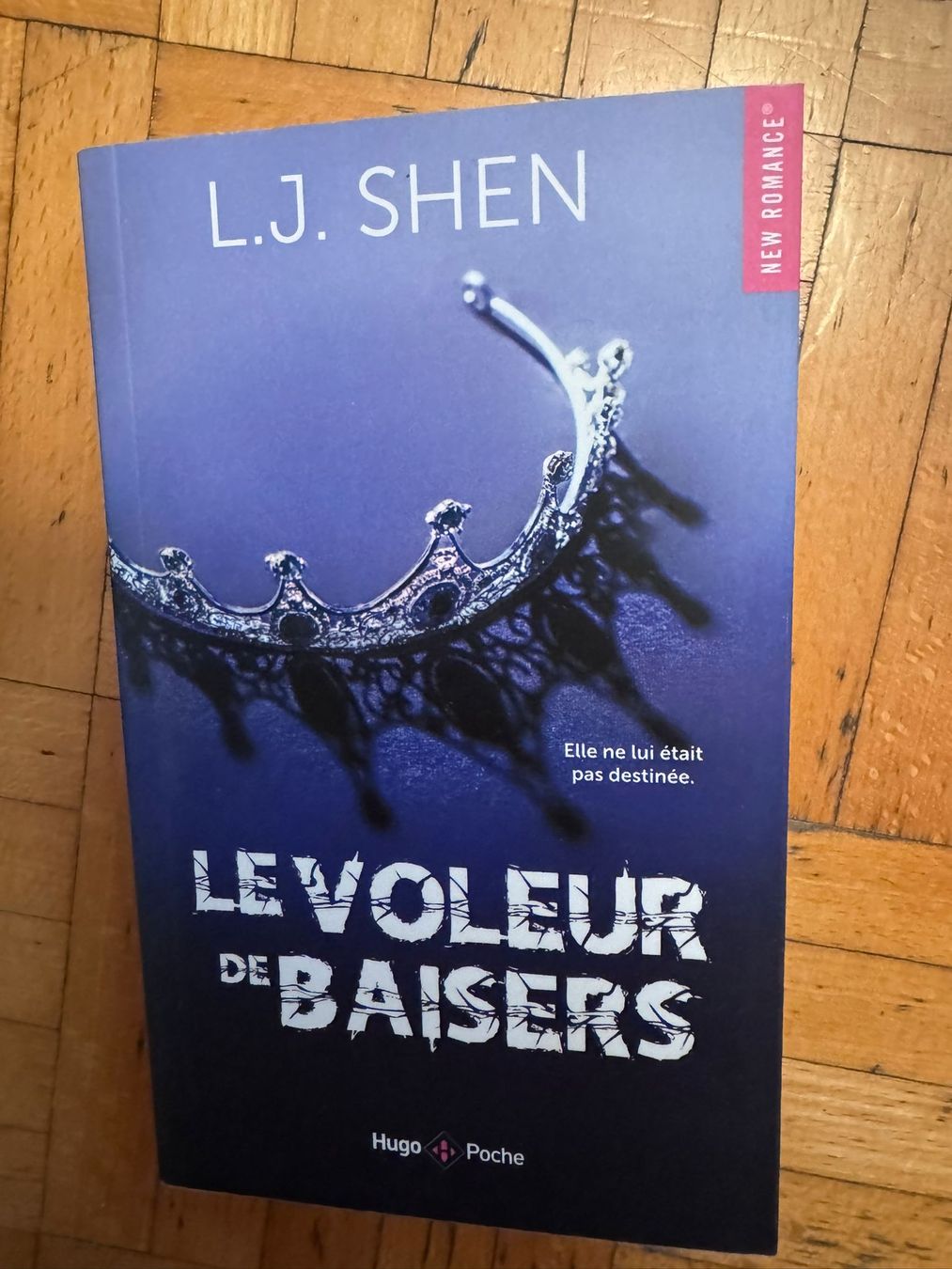 Libri: le voleur de baiser – Usato da Grand-Lancy venduto da Sylvia123